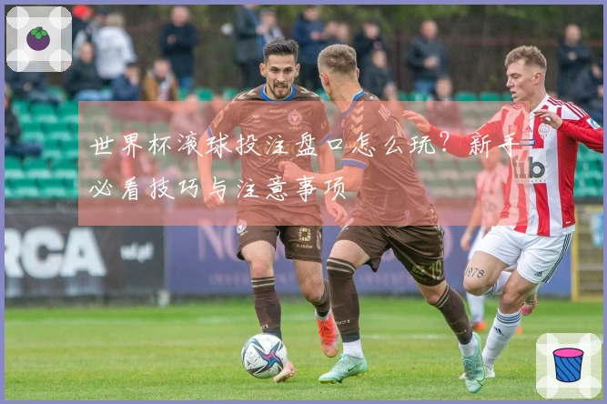 世界杯滚球投注盘口怎么玩？新手必看技巧与注意事项