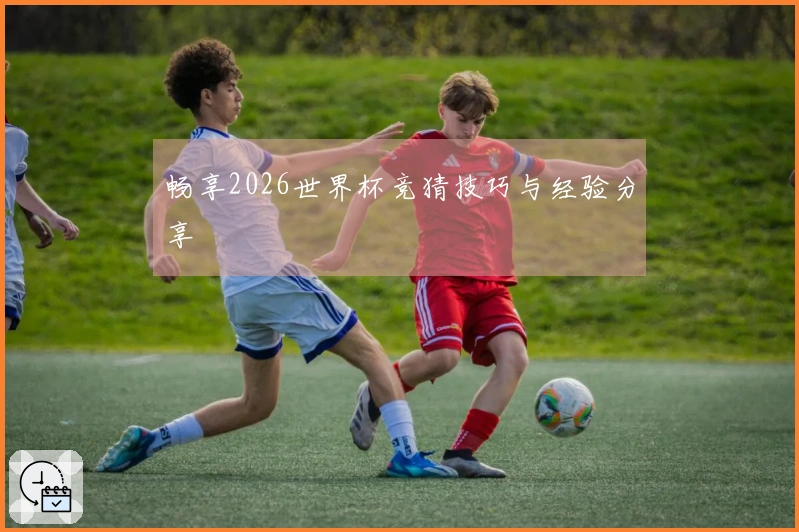 畅享2026世界杯竞猜技巧与经验分享