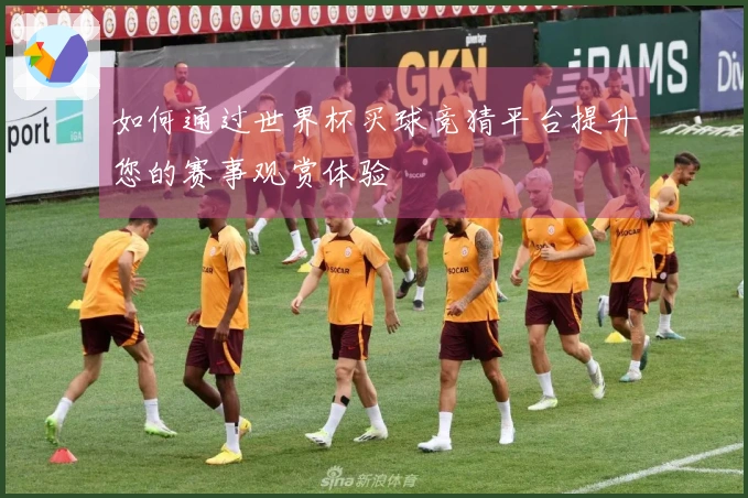 如何通过世界杯买球竞猜平台提升您的赛事观赏体验