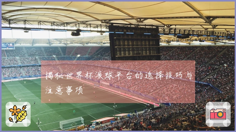 揭秘世界杯滚球平台的选择技巧与注意事项
