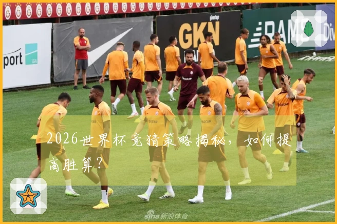 2026世界杯竞猜策略揭秘，如何提高胜算？