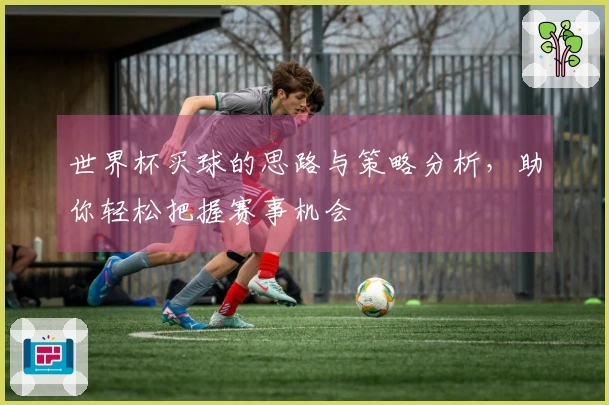 世界杯买球的思路与策略分析，助你轻松把握赛事机会
