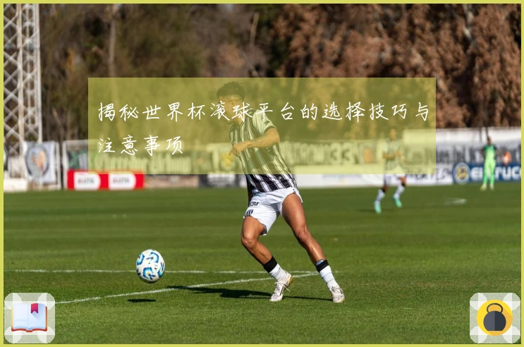 揭秘世界杯滚球平台的选择技巧与注意事项