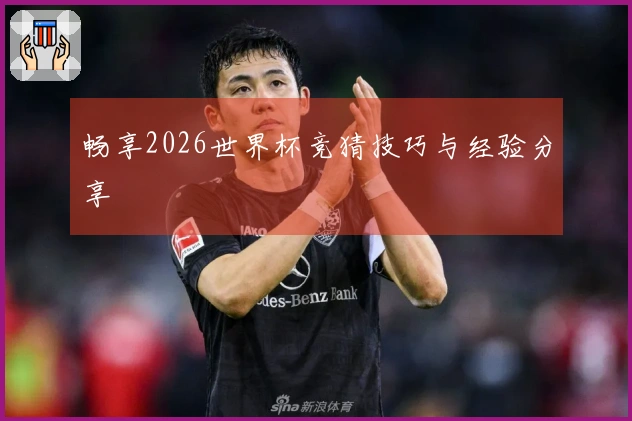 畅享2026世界杯竞猜技巧与经验分享