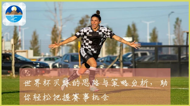 世界杯买球的思路与策略分析，助你轻松把握赛事机会