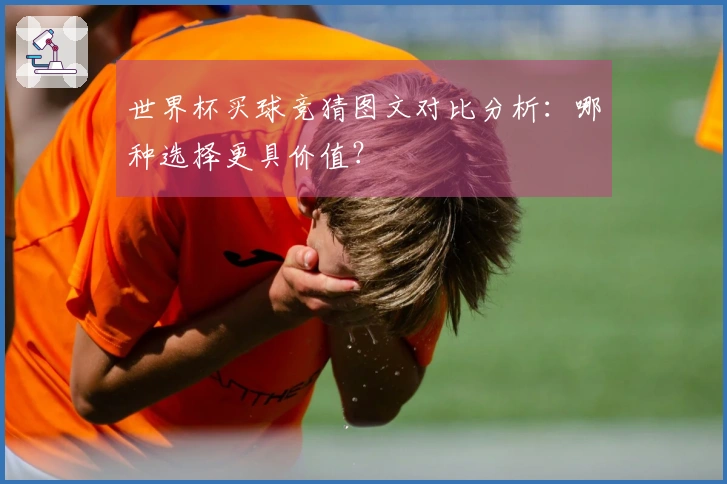 世界杯买球竞猜图文对比分析：哪种选择更具价值？